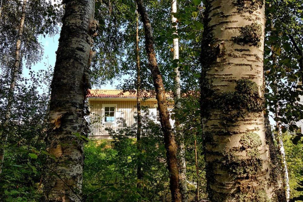 Nybyggd Intill Skogsbrynet Feriehus *